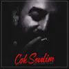 Jiyan Beats - Çok Sevdim (Ümit Karakaya) - Single